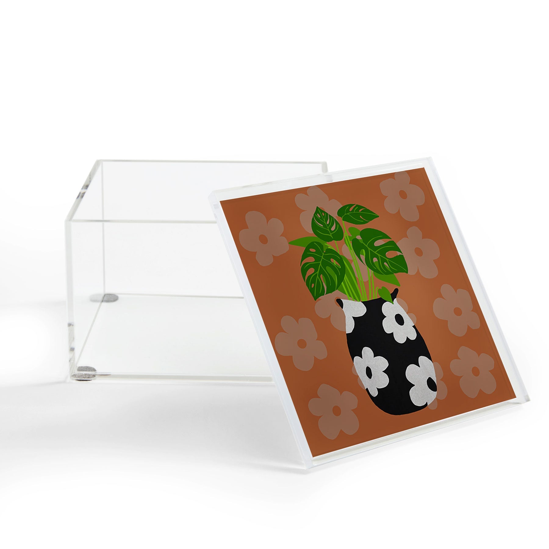 Coco de Paris Green plant retro style 1 Acrylic Box