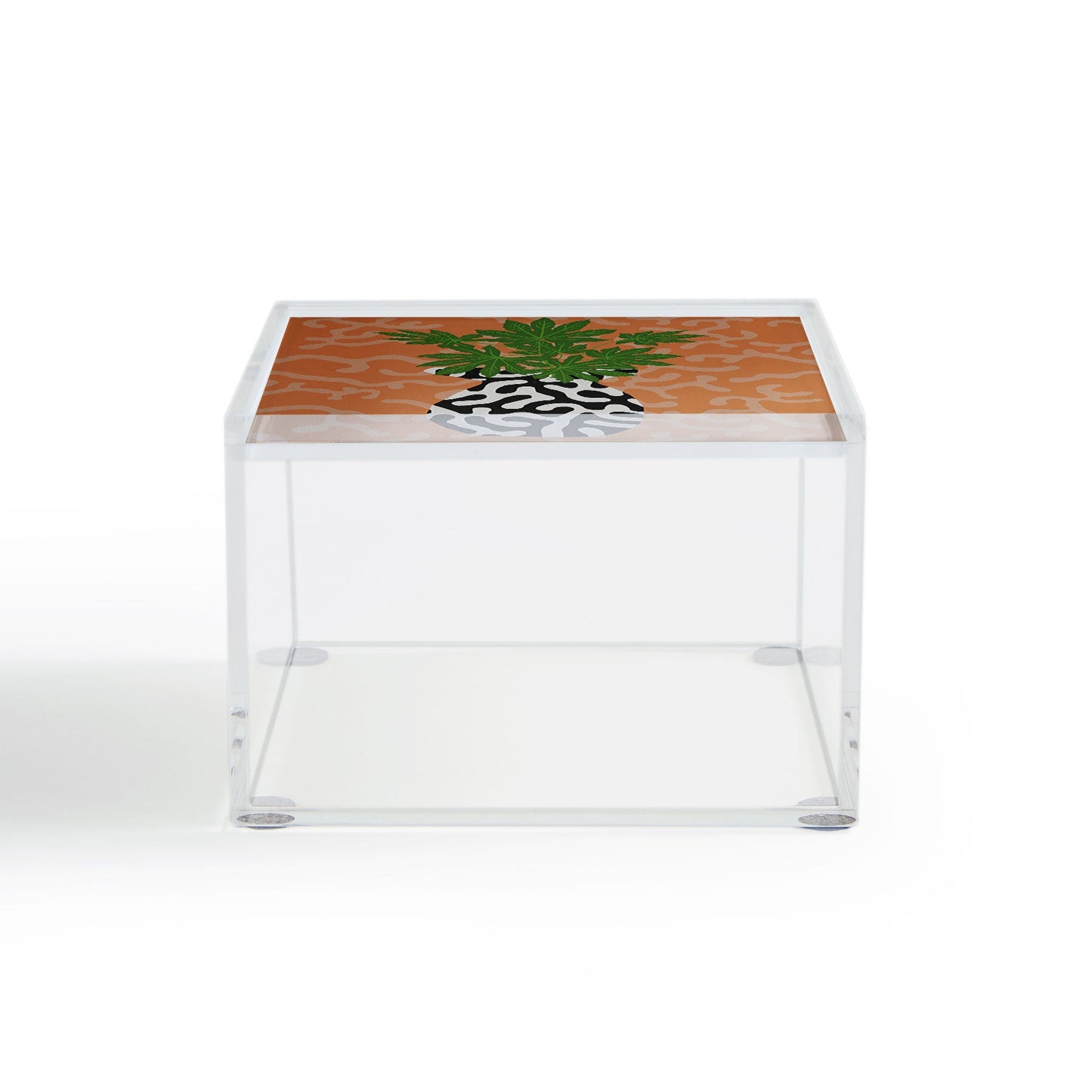 Coco de Paris Green plant retro style 2 Acrylic Box