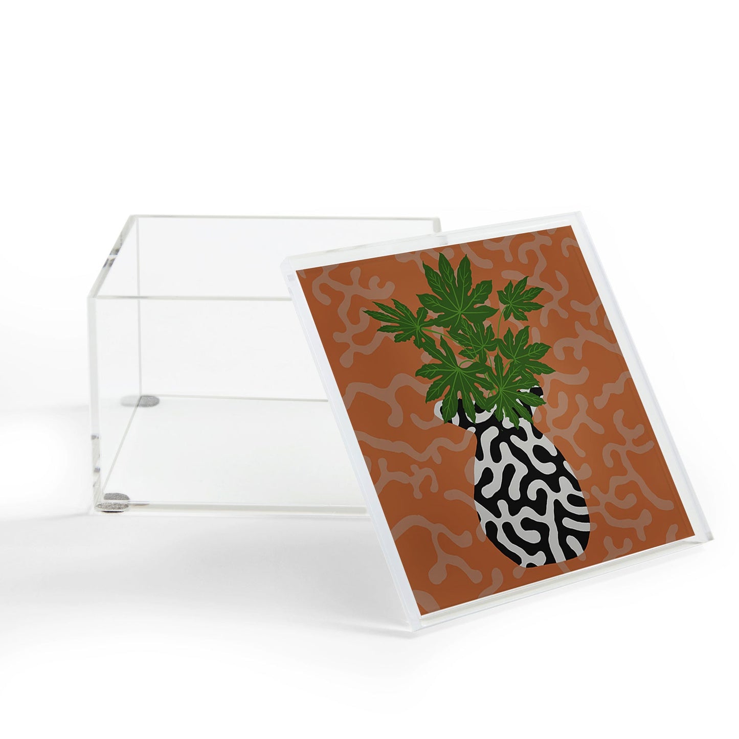 Coco de Paris Green plant retro style 2 Acrylic Box
