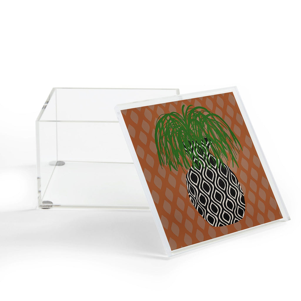 Coco de Paris Green plant retro style 3 Acrylic Box