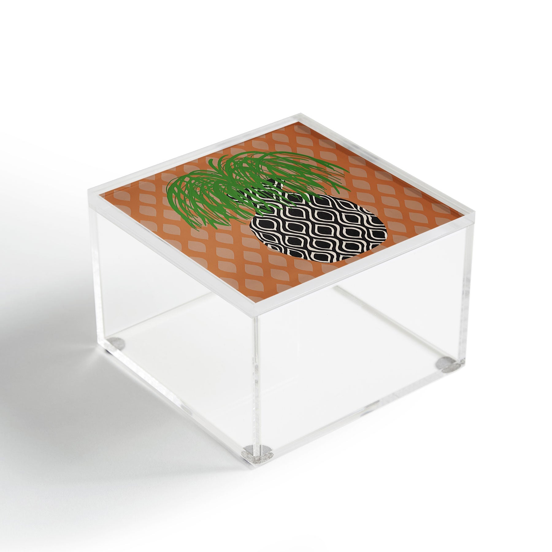 Coco de Paris Green plant retro style 3 Acrylic Box