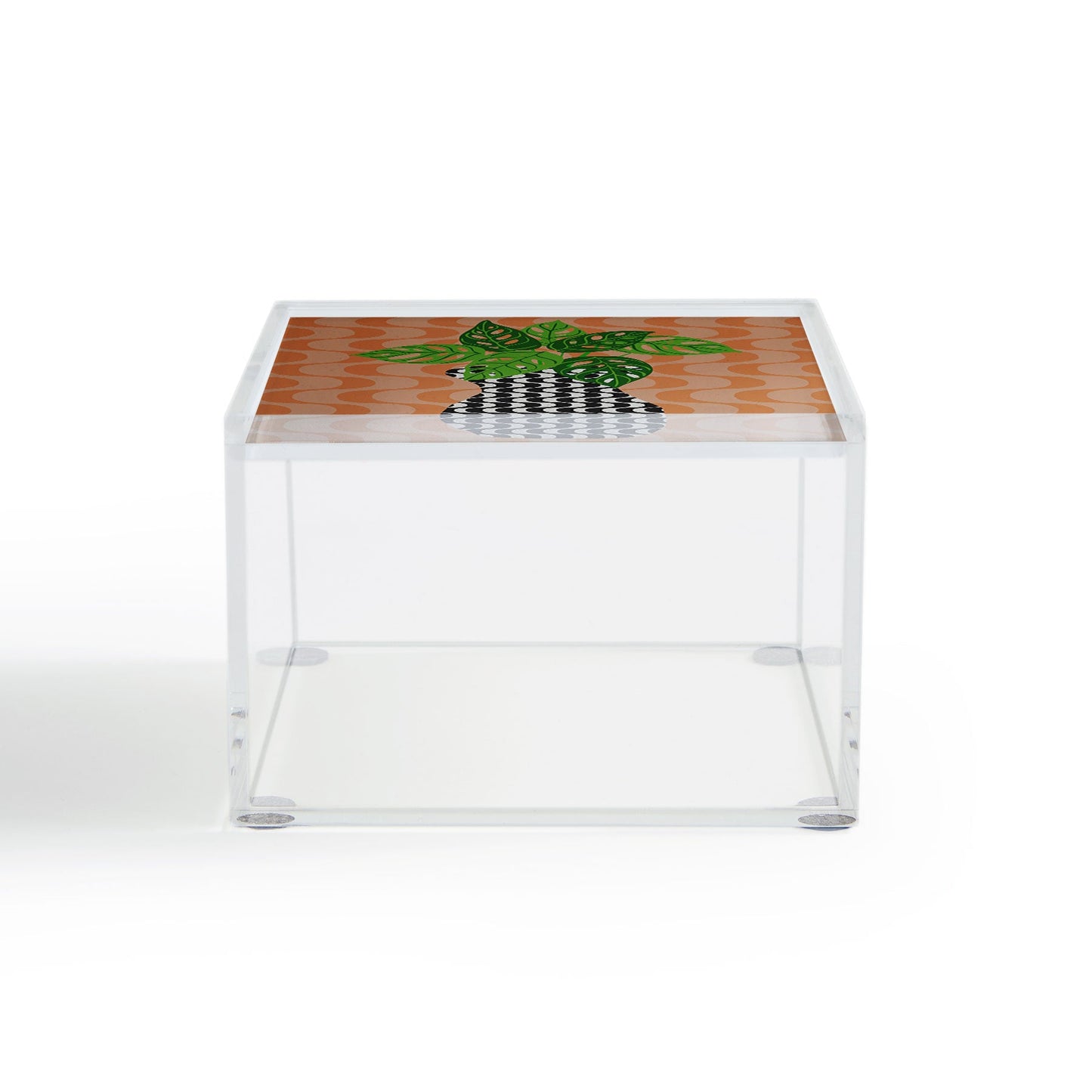 Coco de Paris Green plant retro style 4 Acrylic Box