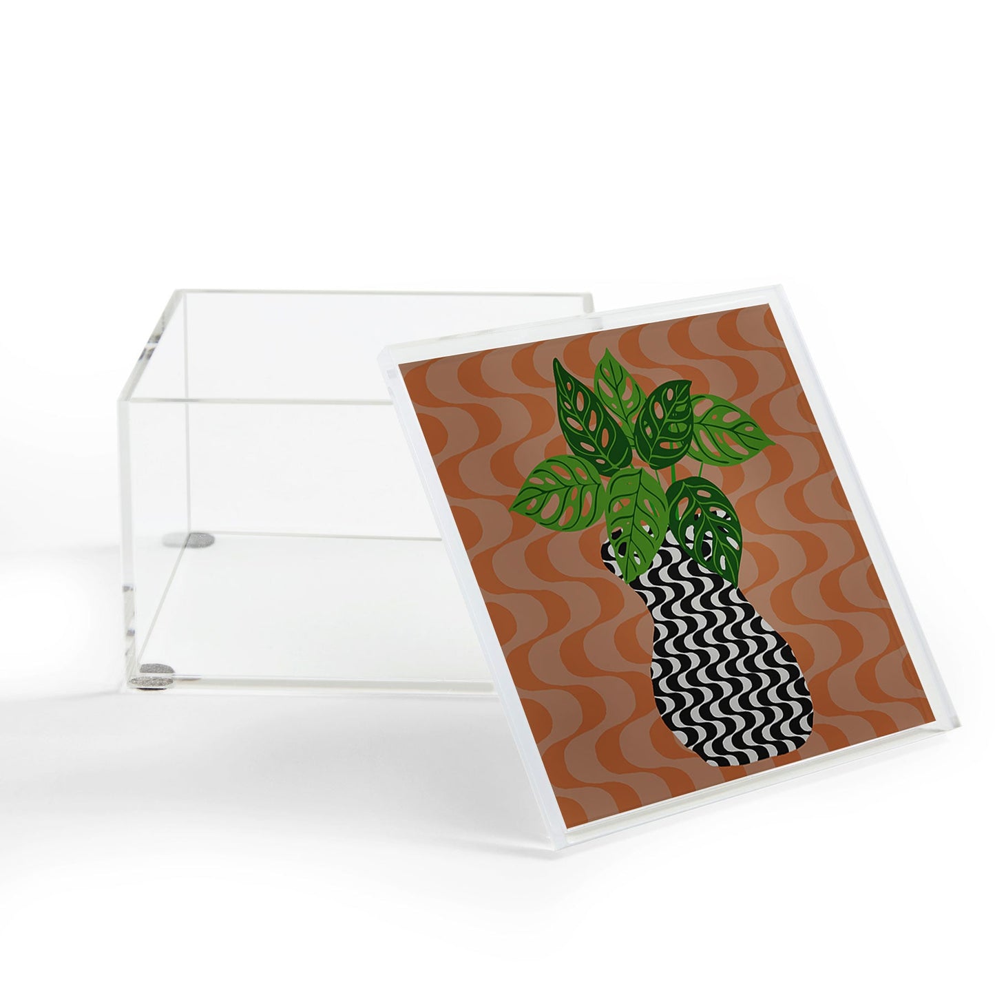 Coco de Paris Green plant retro style 4 Acrylic Box