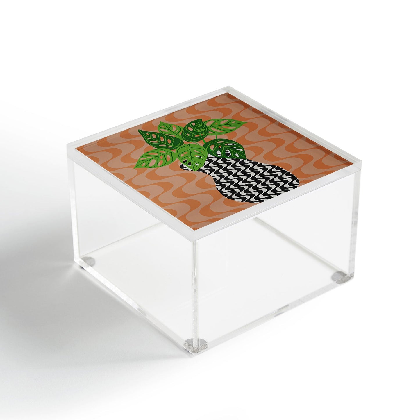 Coco de Paris Green plant retro style 4 Acrylic Box