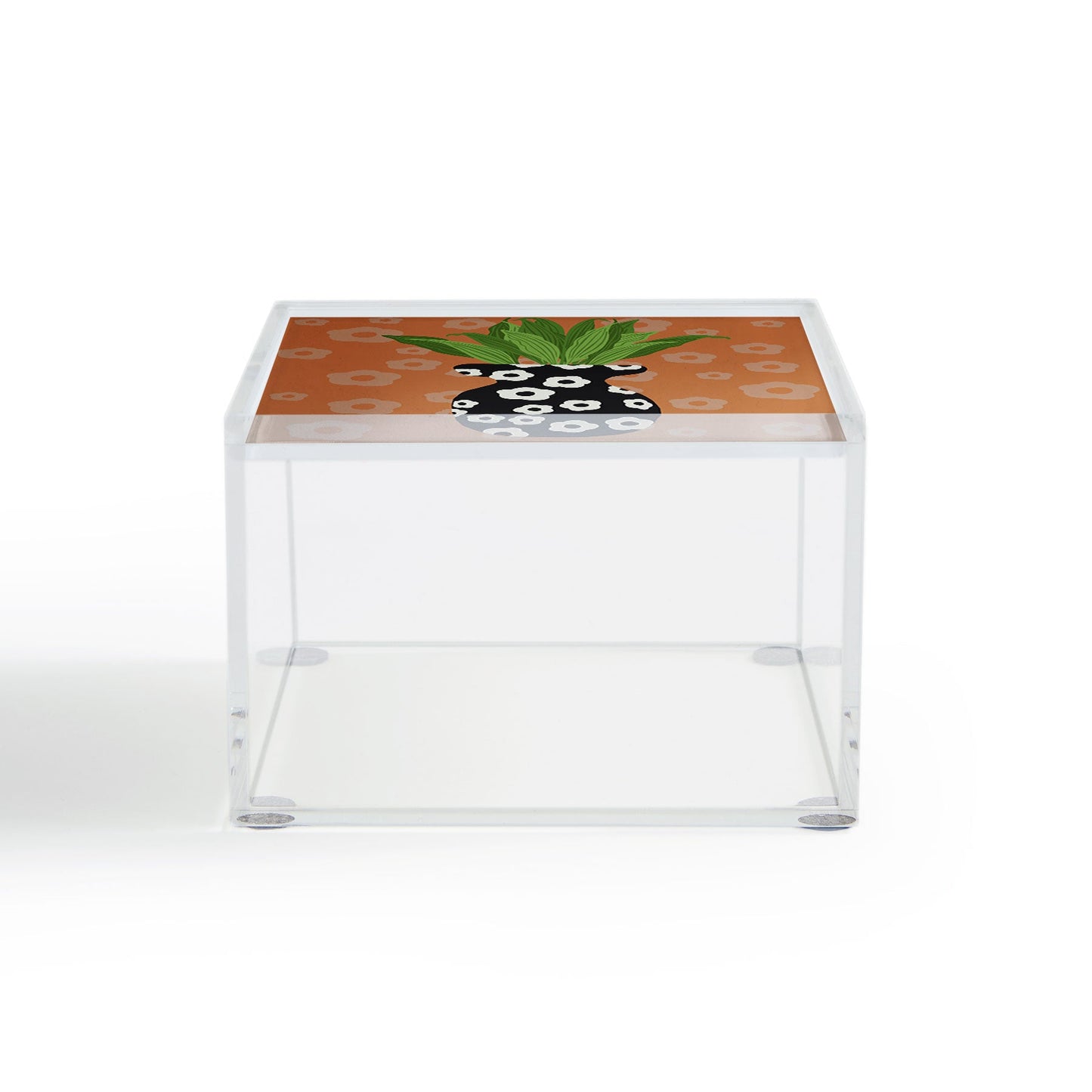 Coco de Paris Green plant retro style 5 Acrylic Box