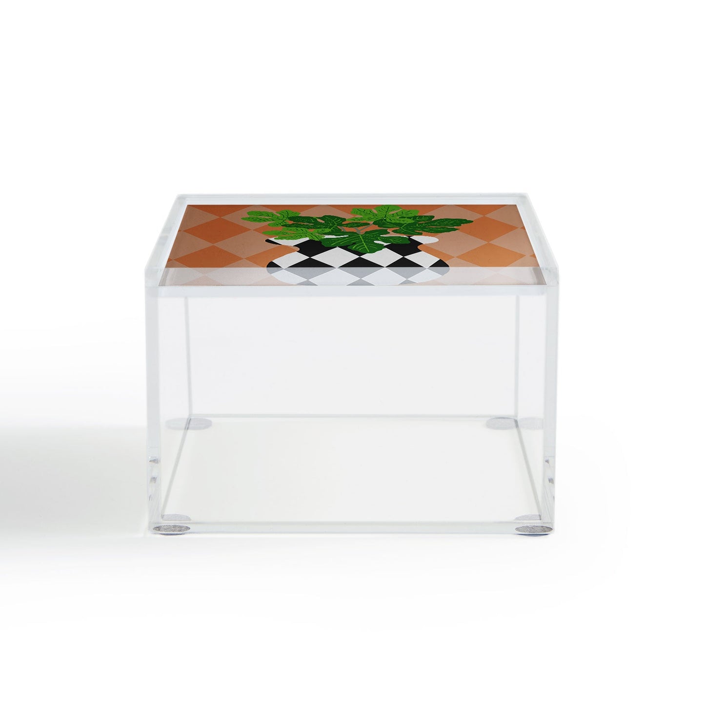 Coco de Paris Green plant retro style 6 Acrylic Box