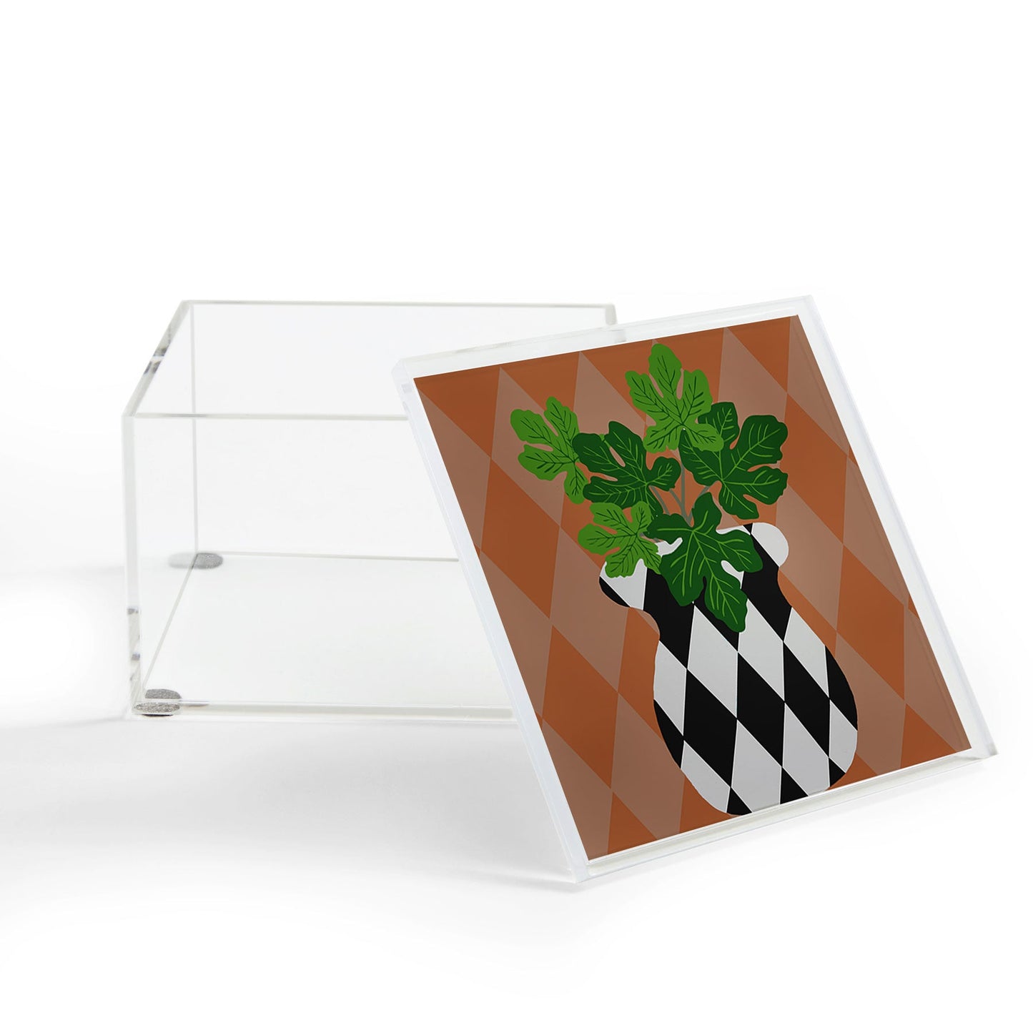 Coco de Paris Green plant retro style 6 Acrylic Box