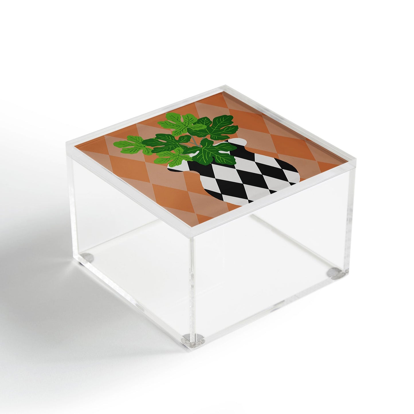 Coco de Paris Green plant retro style 6 Acrylic Box