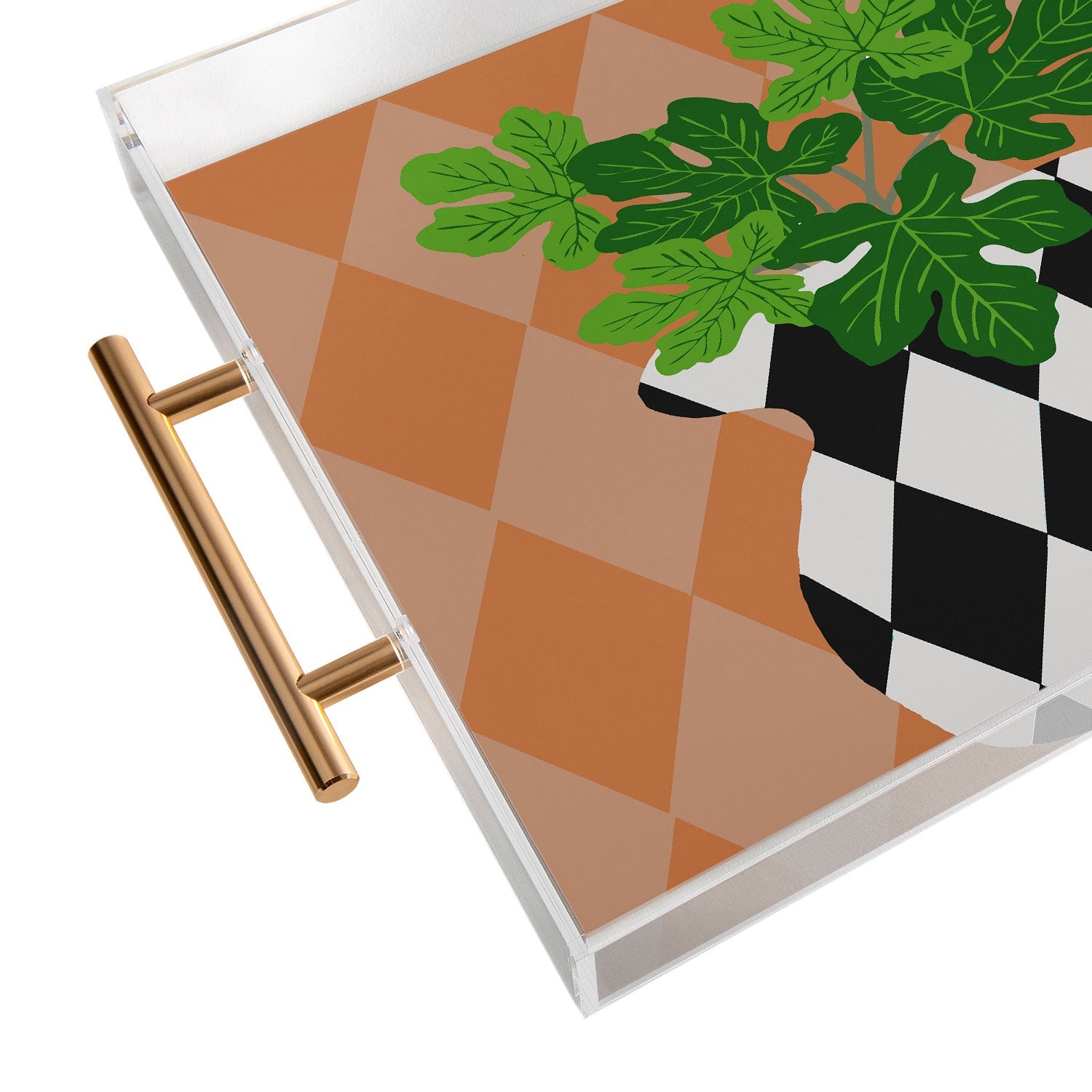 Coco de Paris Green plant retro style 6 Acrylic Tray