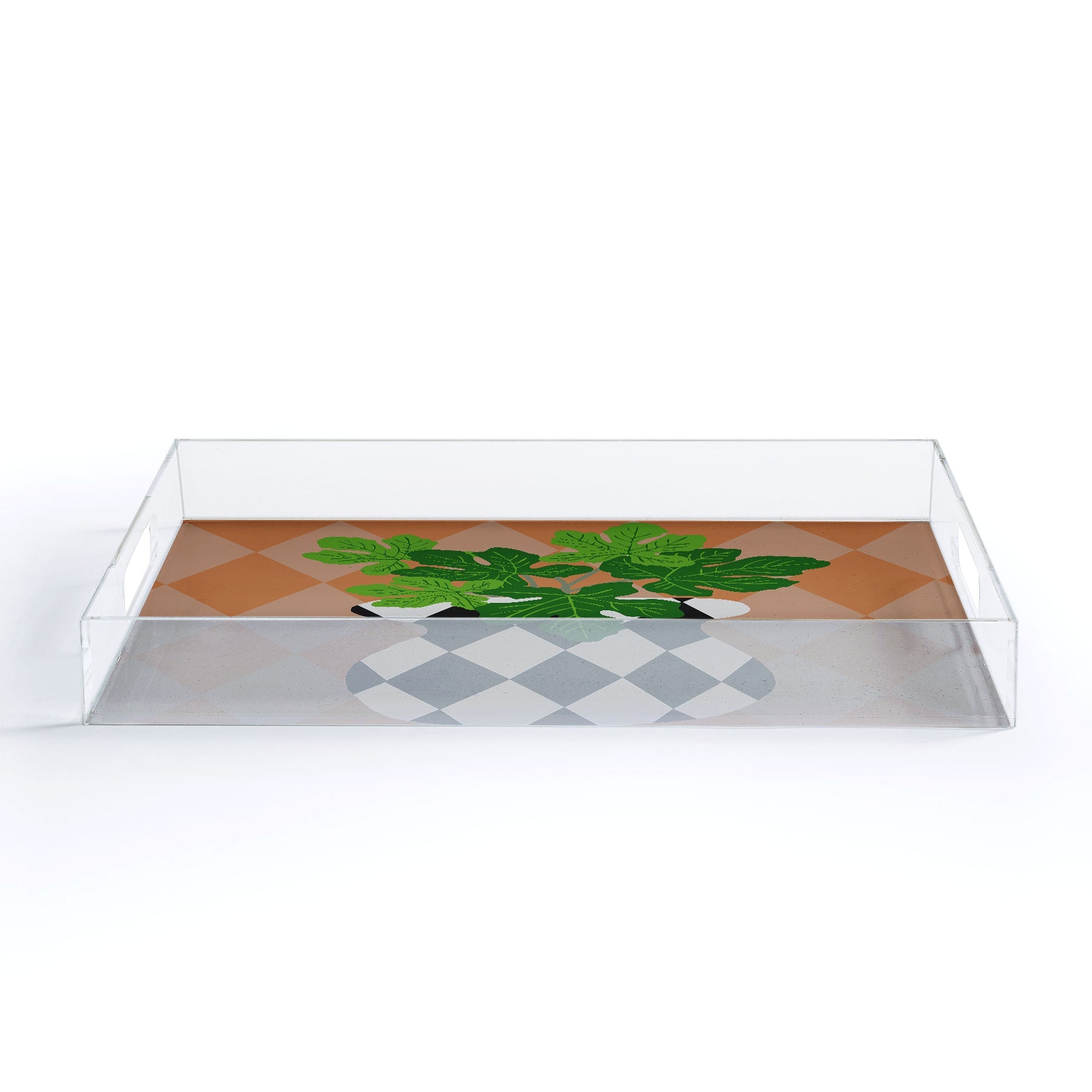 Coco de Paris Green plant retro style 6 Acrylic Tray