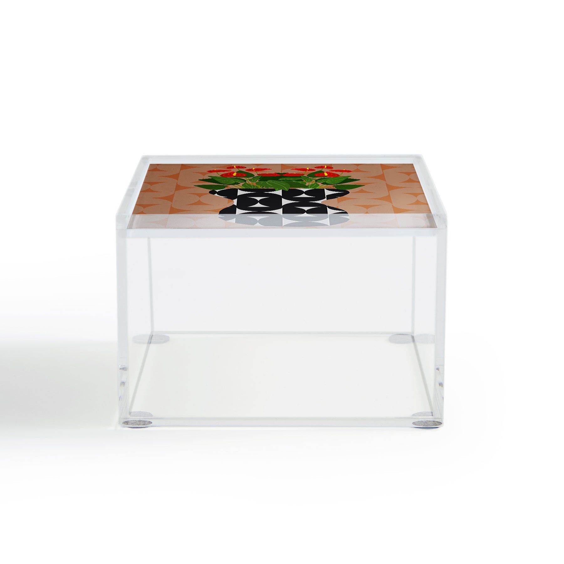Coco de Paris Green plant retro style 7 Acrylic Box
