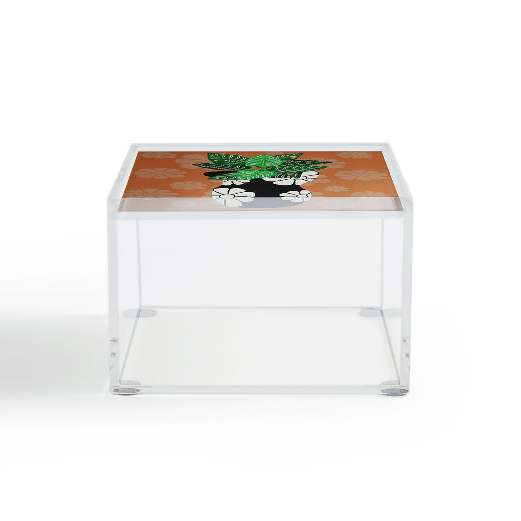 Coco de Paris Green plant retro style 8 Acrylic Box