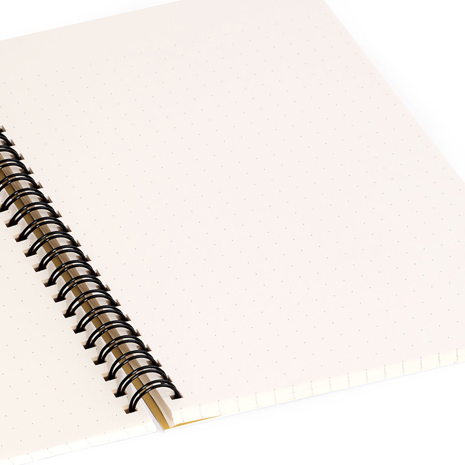 Colour Poems Bold Minimalism CVI Spiral Notebook