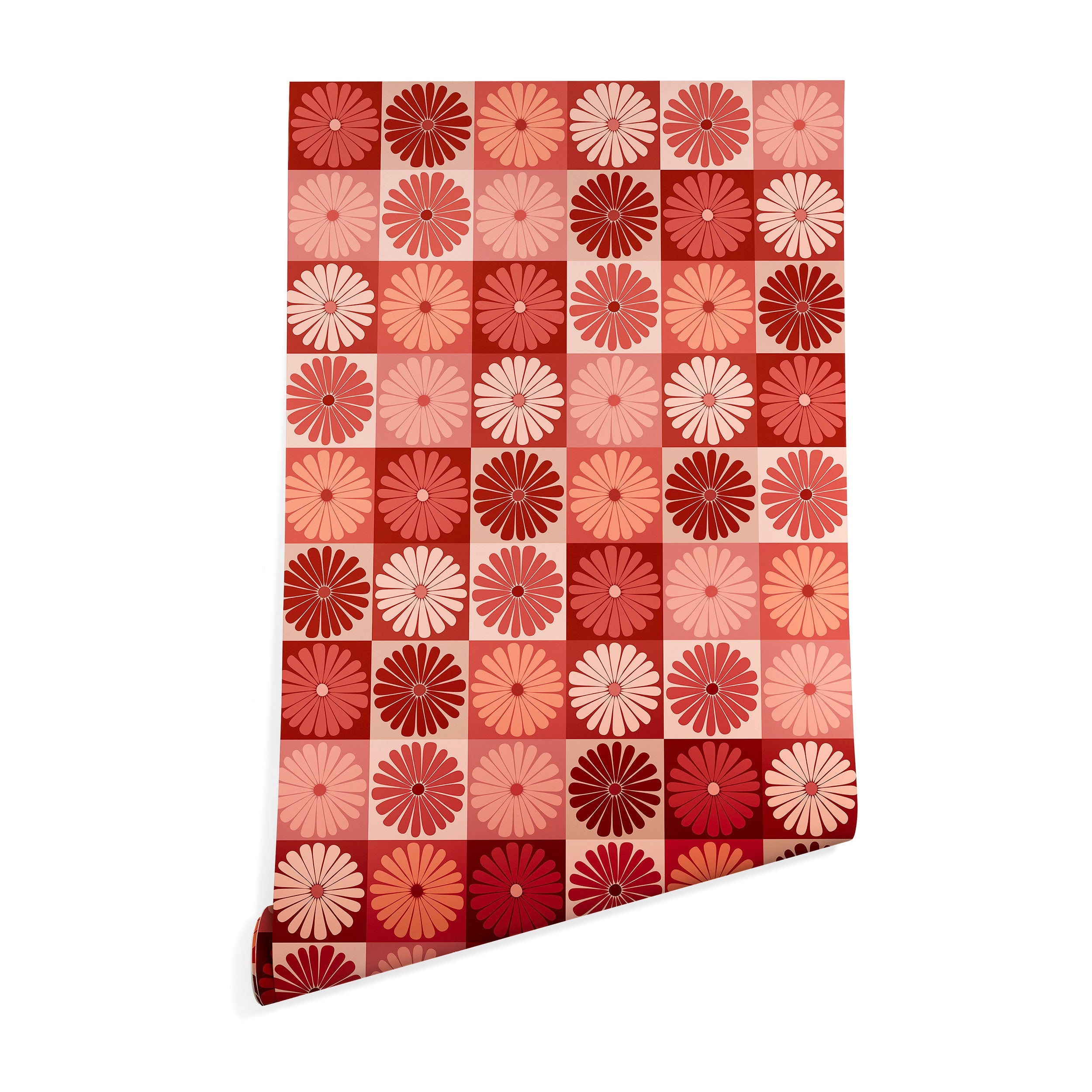Colour Poems Checker Daisies I Red Pink Wallpaper