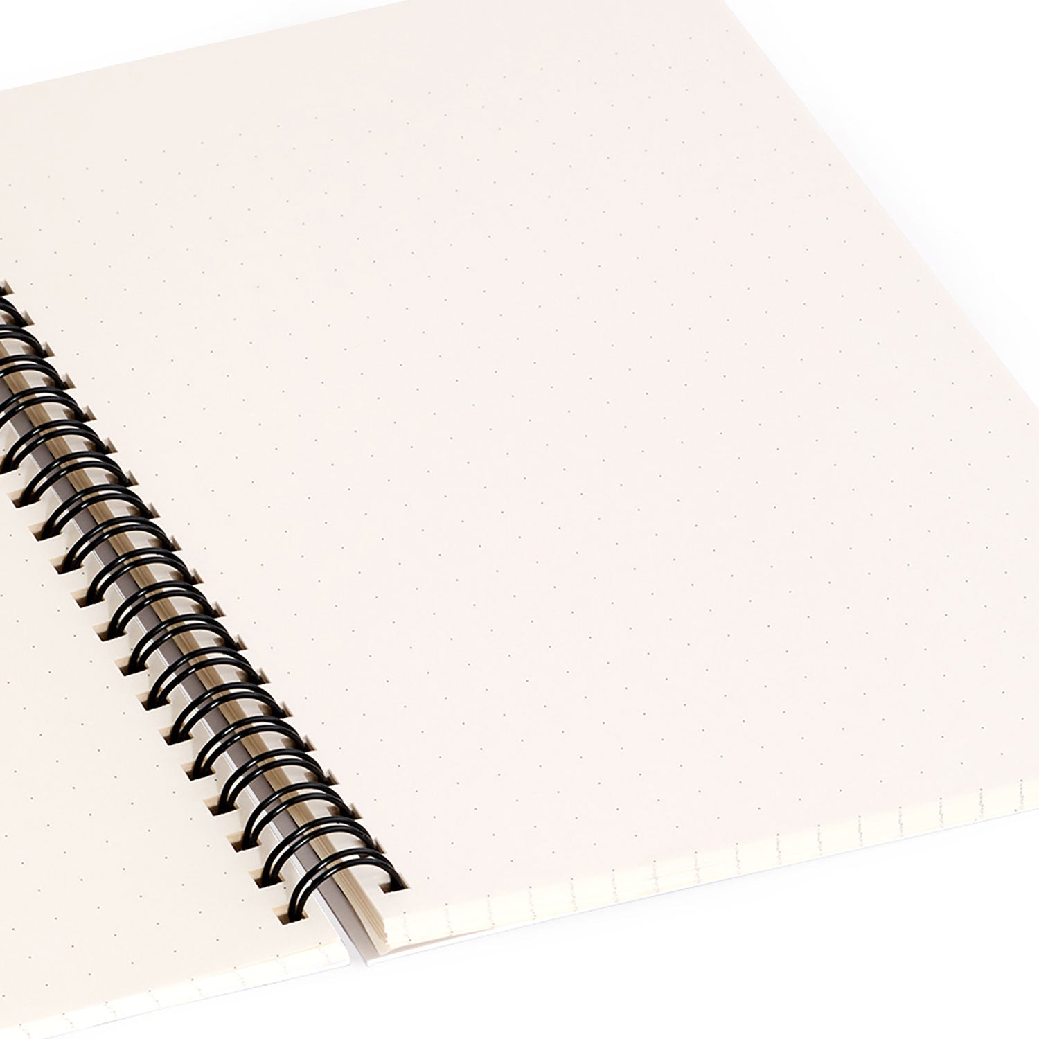 Colour Poems Dragonfly Pattern Black White Spiral Notebook
