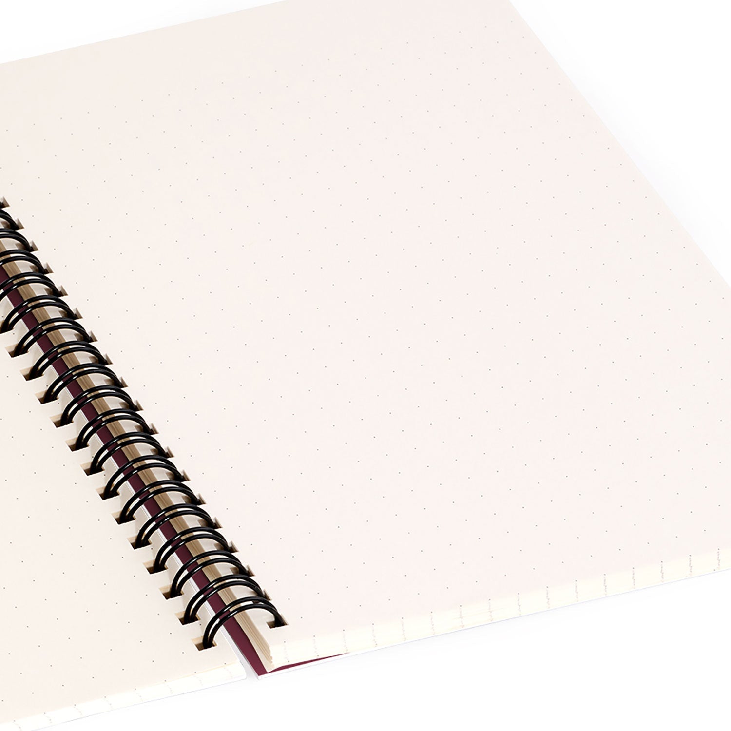 Colour Poems Dragonfly Pattern Mauve Spiral Notebook