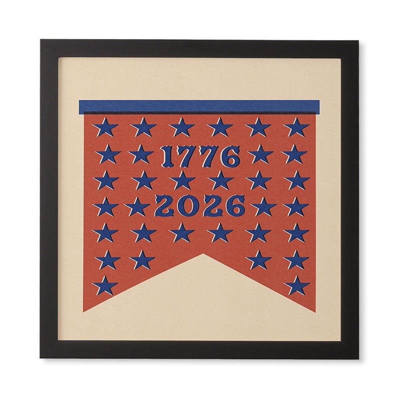 DENY Designs Star Banner Framed Wall Art