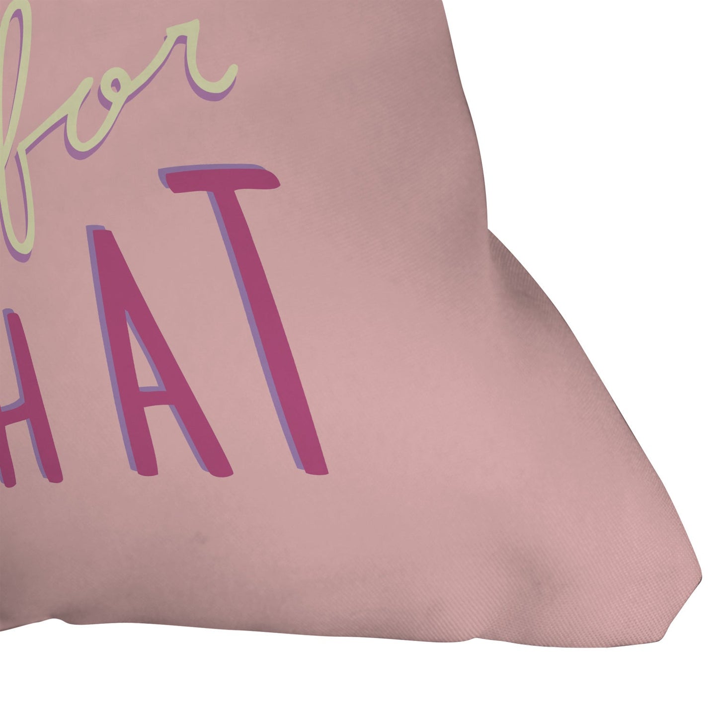 Craft Boner Aint nobody got time for that Outdoor Throw Pillow