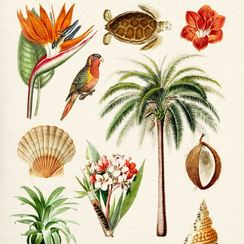 Gal Design Hawaii Collection Shower Curtain