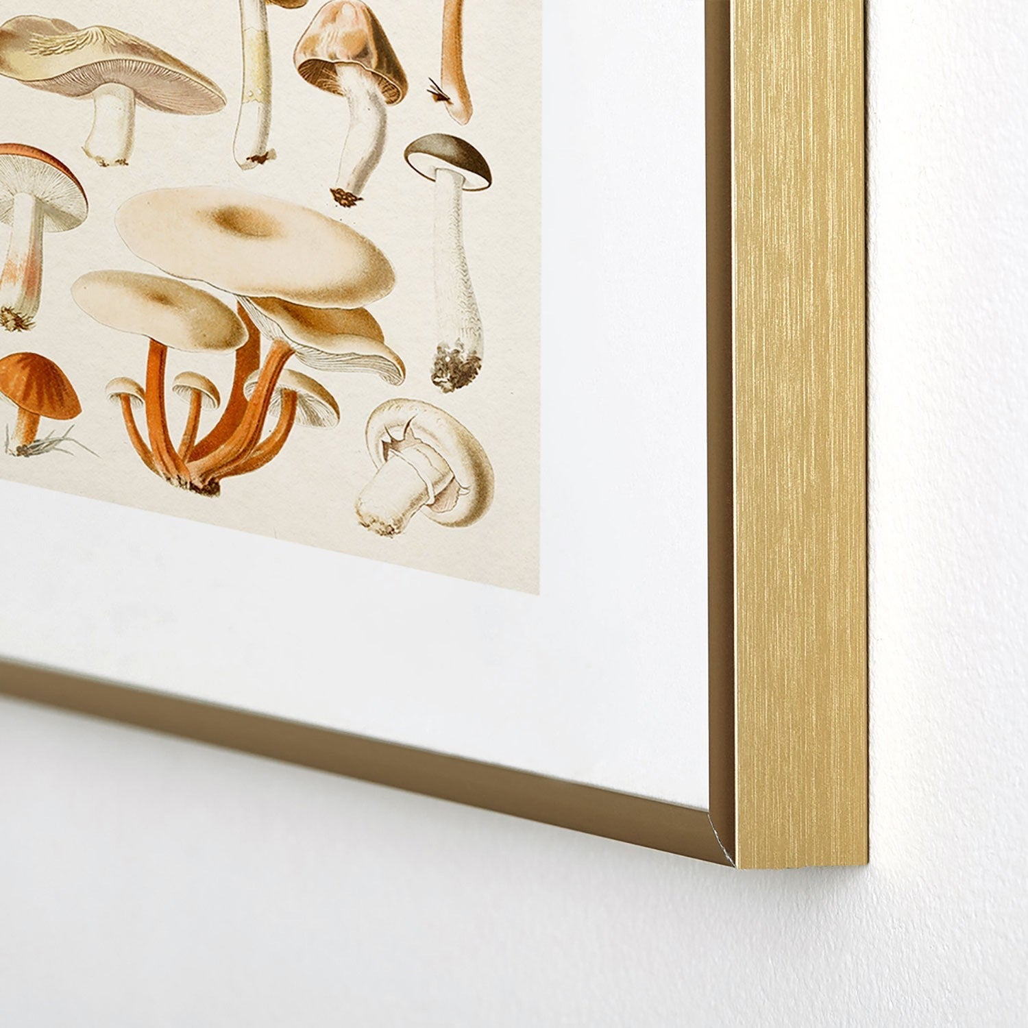 Gal Design Mushrooms Collection Metal Framed Art Print