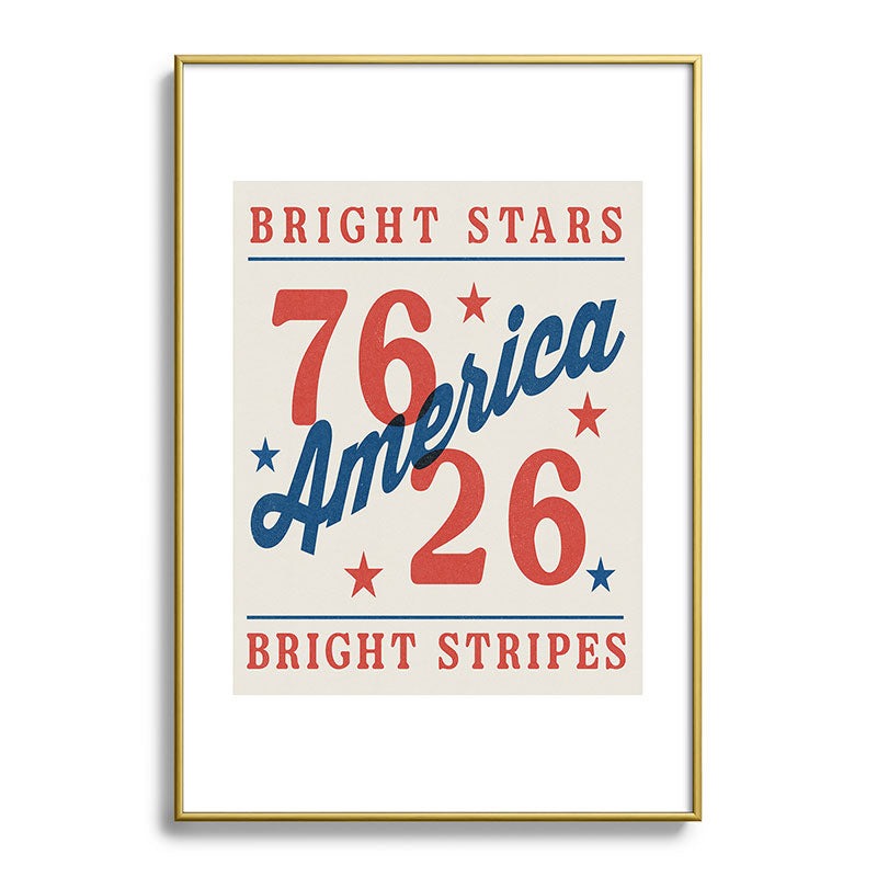 DENY Designs Bright Stars Bright Stripes Metal Framed Art Print