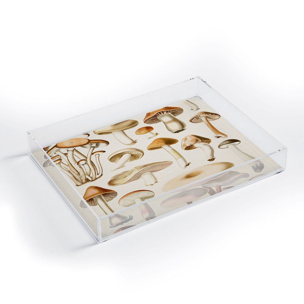 Gal Design Mushrooms Collection Acrylic Tray