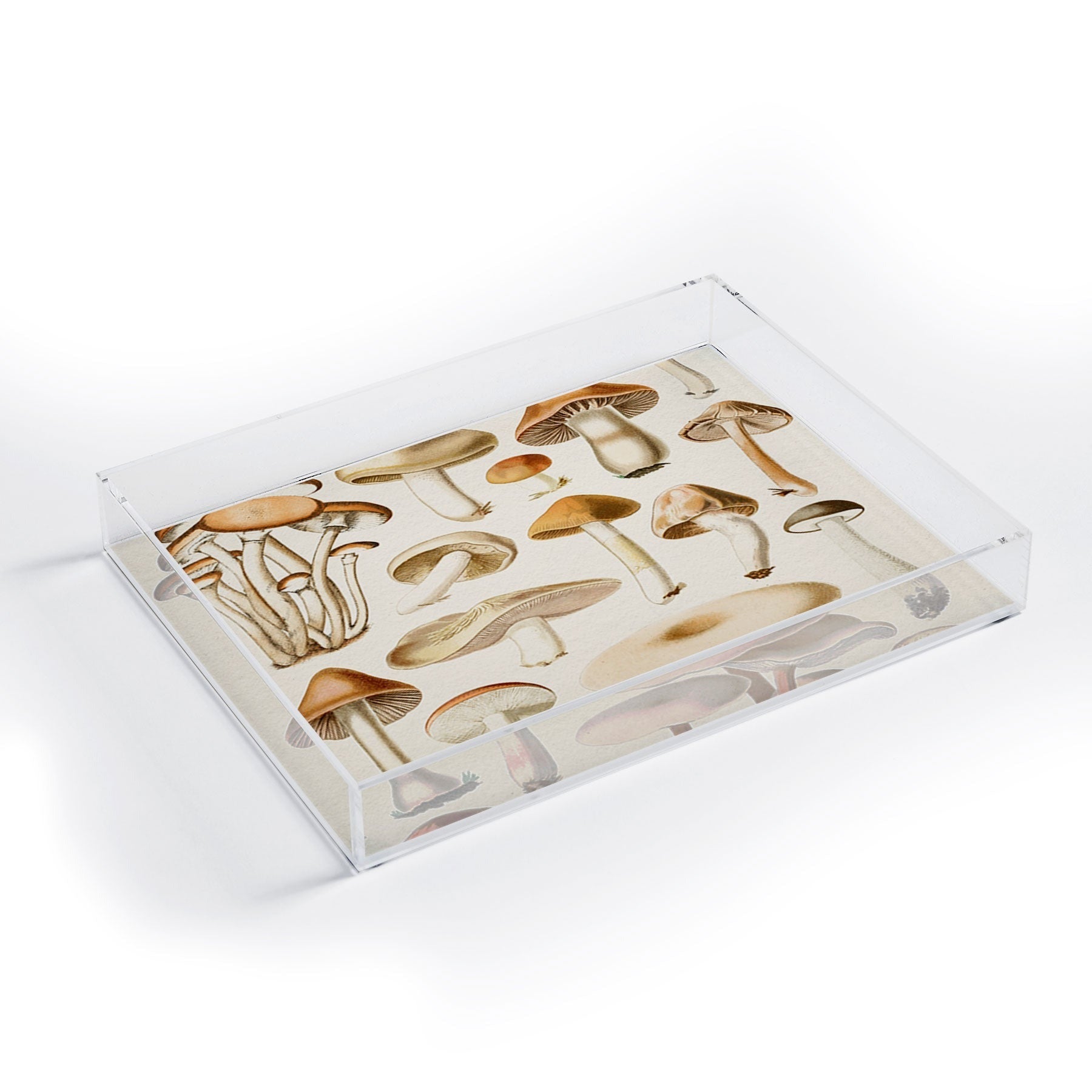 Gal Design Mushrooms Collection Acrylic Tray