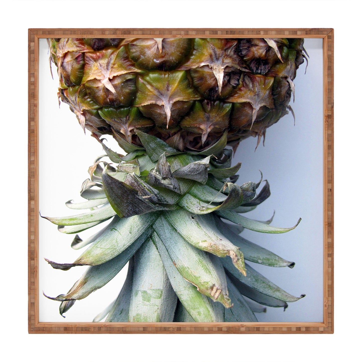 Deb Haugen Pineapple 2 Square Tray