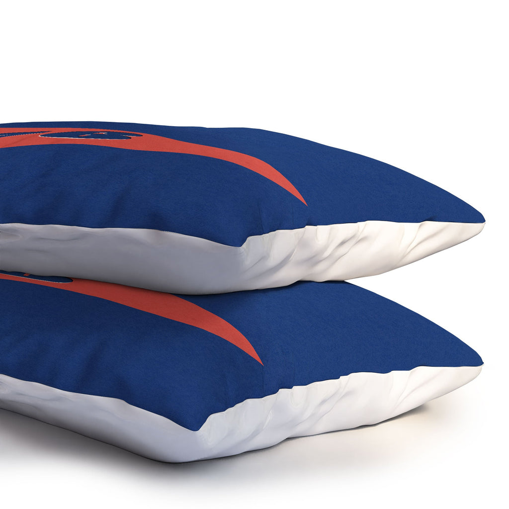 DENY Designs 1776 Pennant Pillow Shams