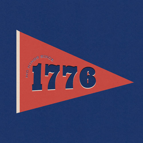 DENY Designs 1776 Pennant Shower Curtain