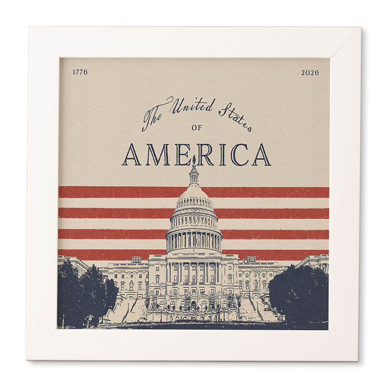 DENY Designs Capitol Building Framed Wall Art