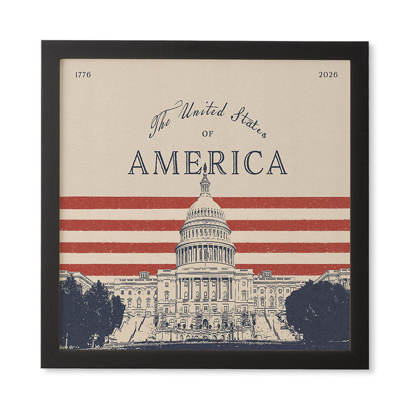 DENY Designs Capitol Building Framed Wall Art