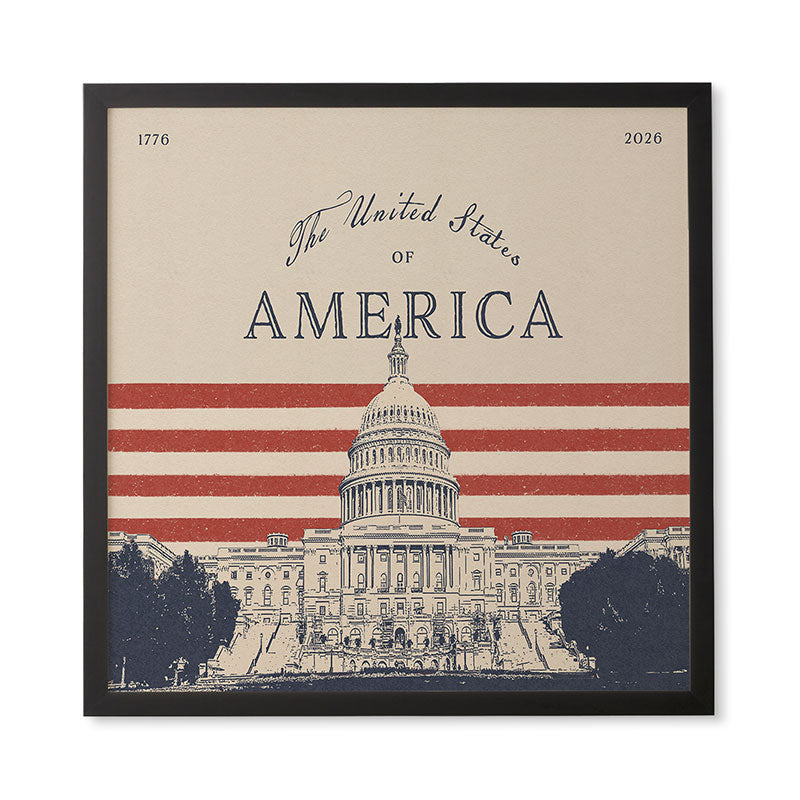 DENY Designs Capitol Building Framed Wall Art