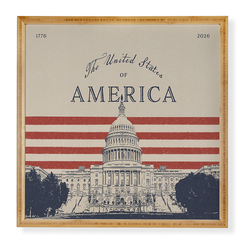 DENY Designs Capitol Building Framed Wall Art