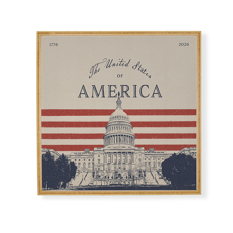 DENY Designs Capitol Building Framed Wall Art