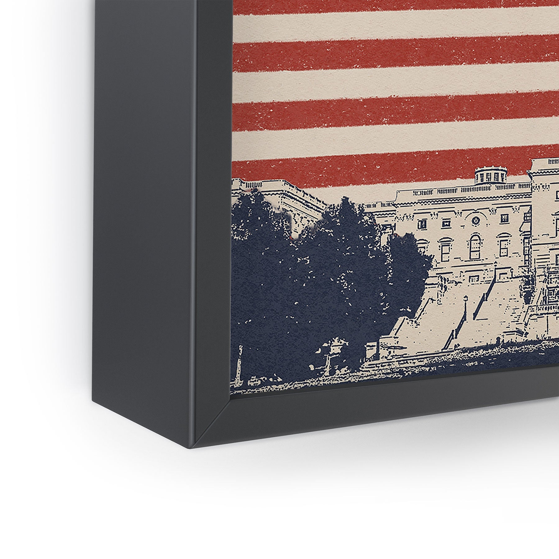 DENY Designs Capitol Building Framed Mini Art Print