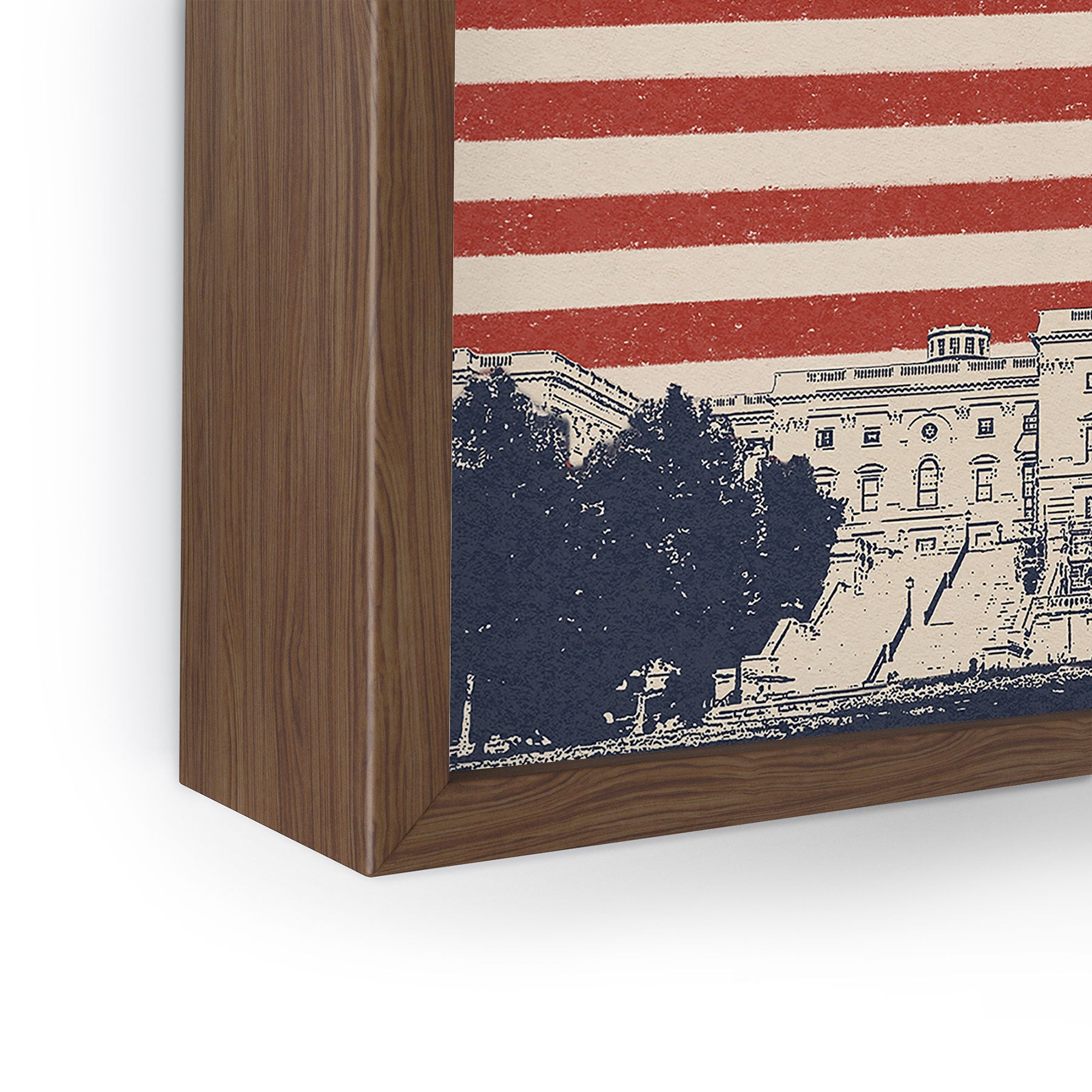 DENY Designs Capitol Building Framed Mini Art Print