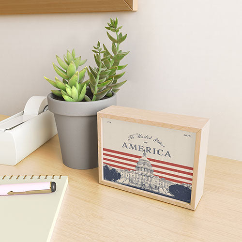 DENY Designs Capitol Building Framed Mini Art Print