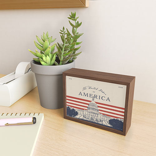 DENY Designs Capitol Building Framed Mini Art Print