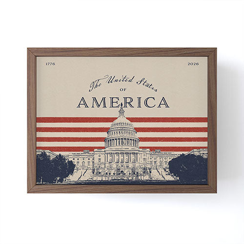 DENY Designs Capitol Building Framed Mini Art Print