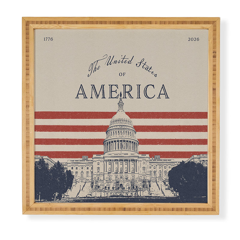 DENY Designs Capitol Building Framed Wall Art