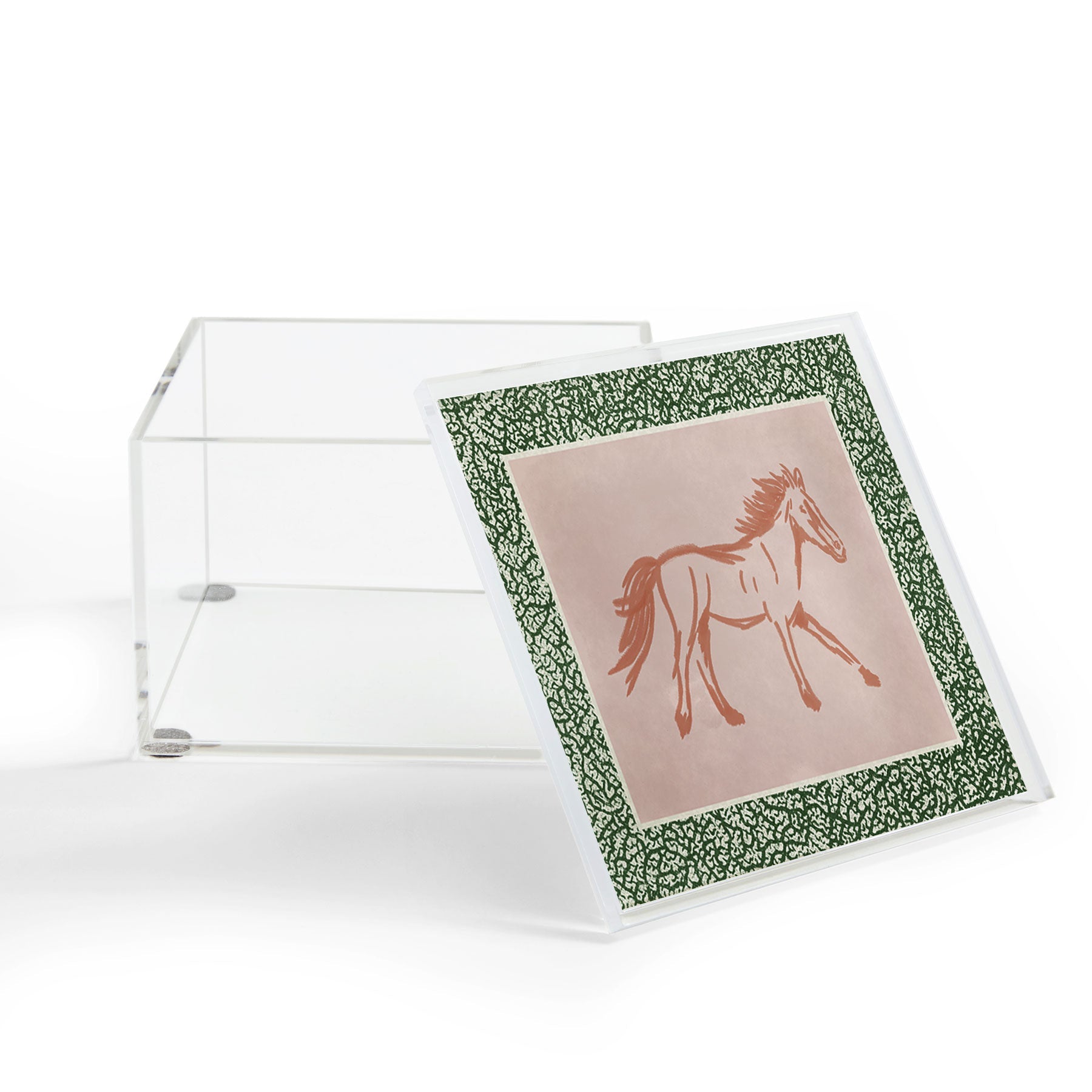 DENY Designs country horse 2 Acrylic Box