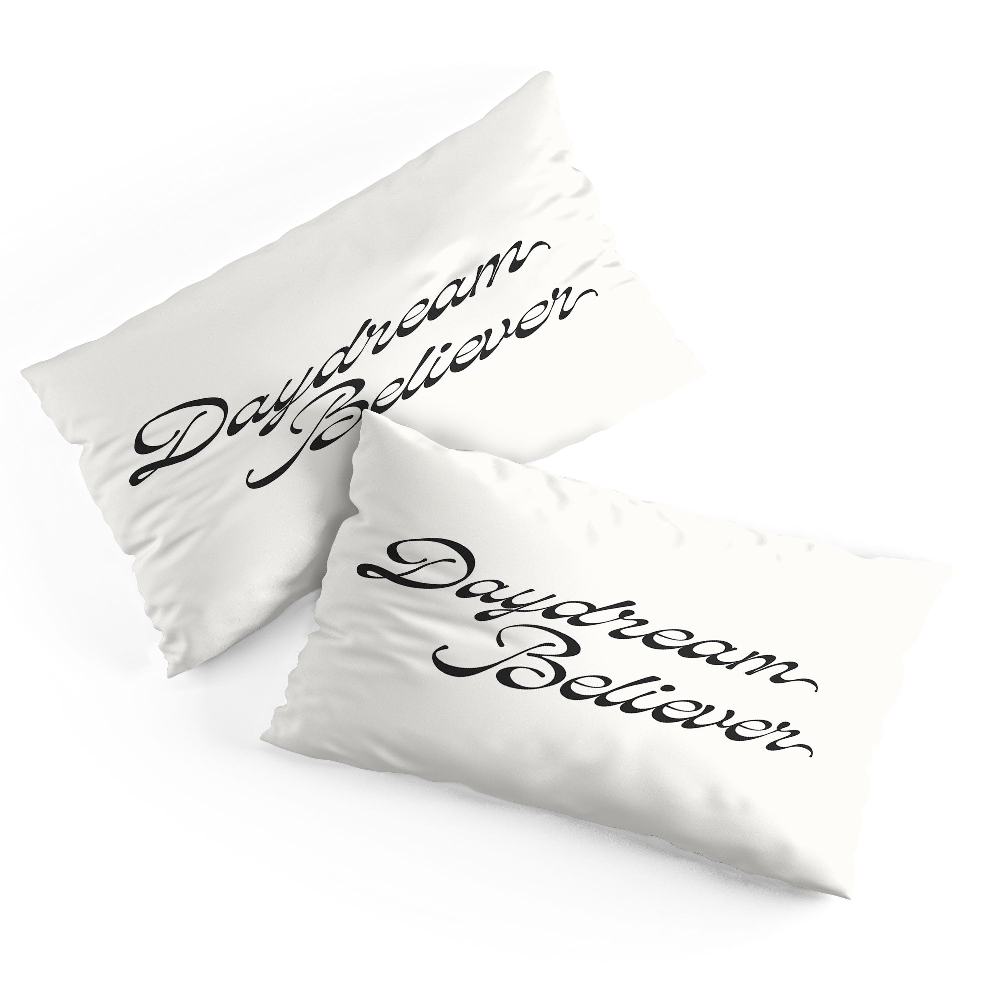 DENY Designs Daydream Believer W and B Pillow Shams