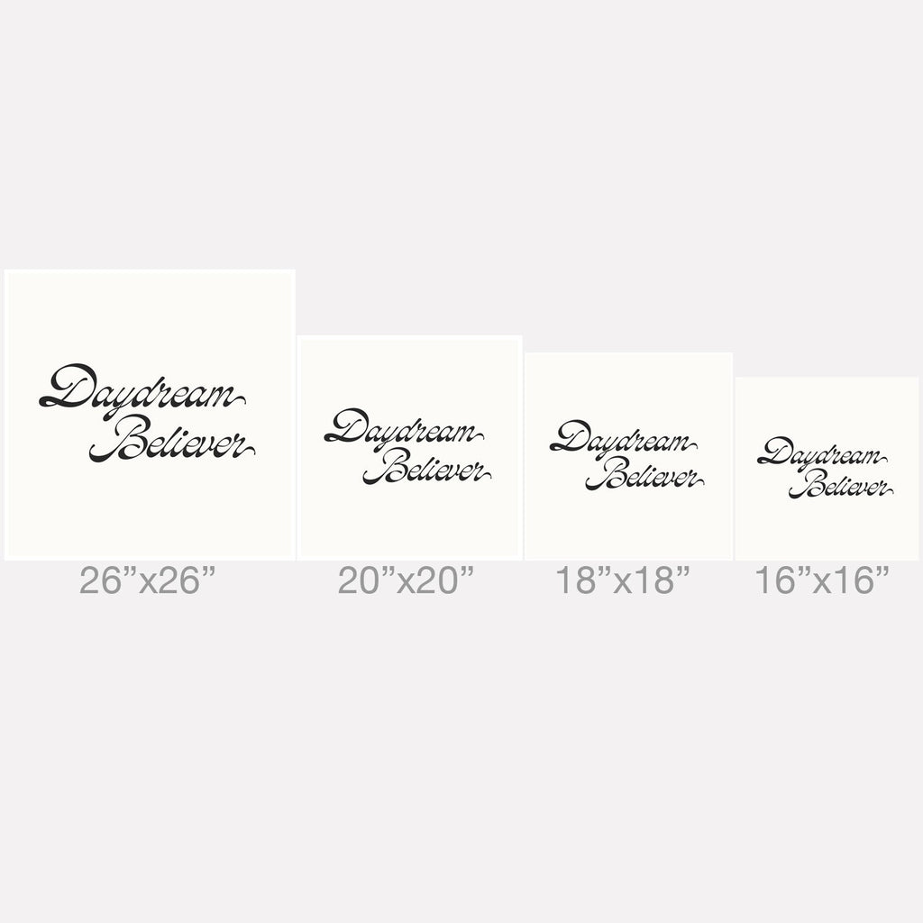 DENY Designs Daydream Believer W and B Outdoor Throw Pillow
