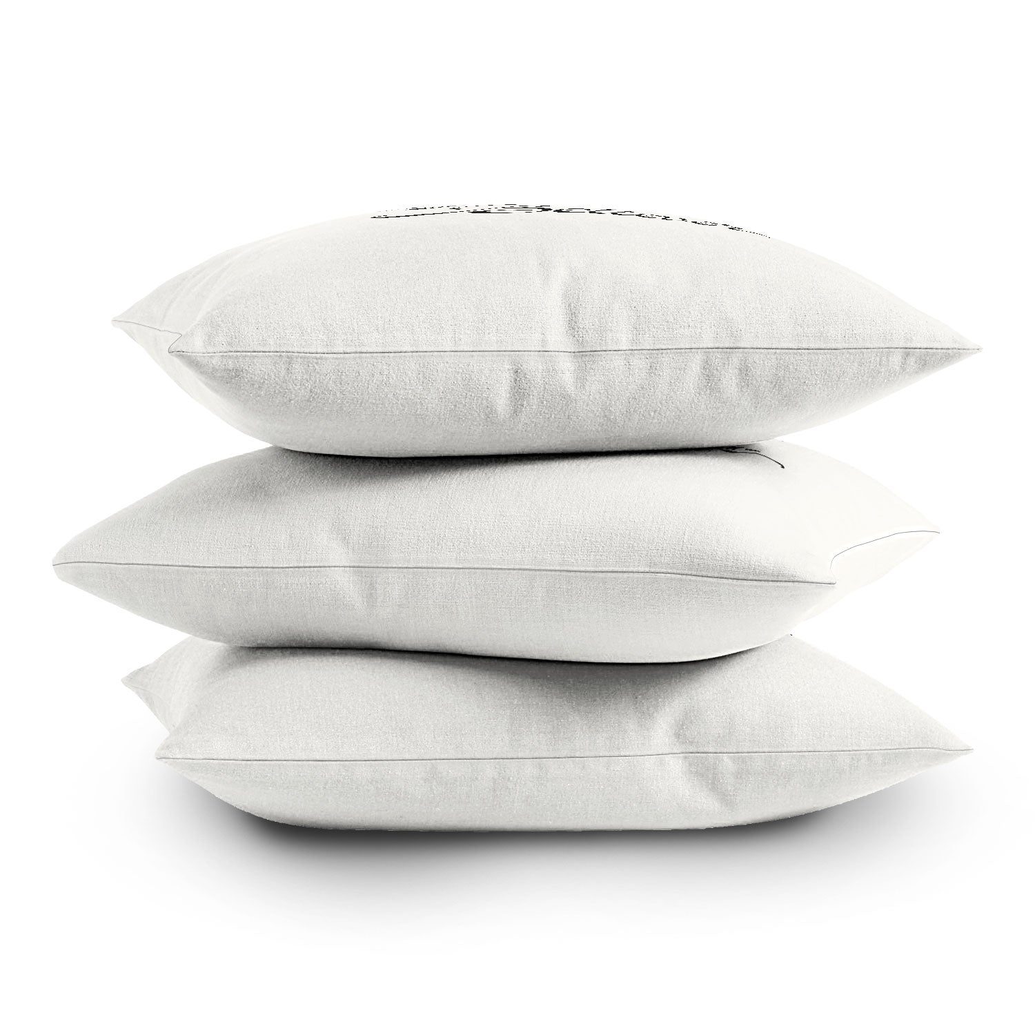 DENY Designs Daydream Believer W and B Outdoor Throw Pillow
