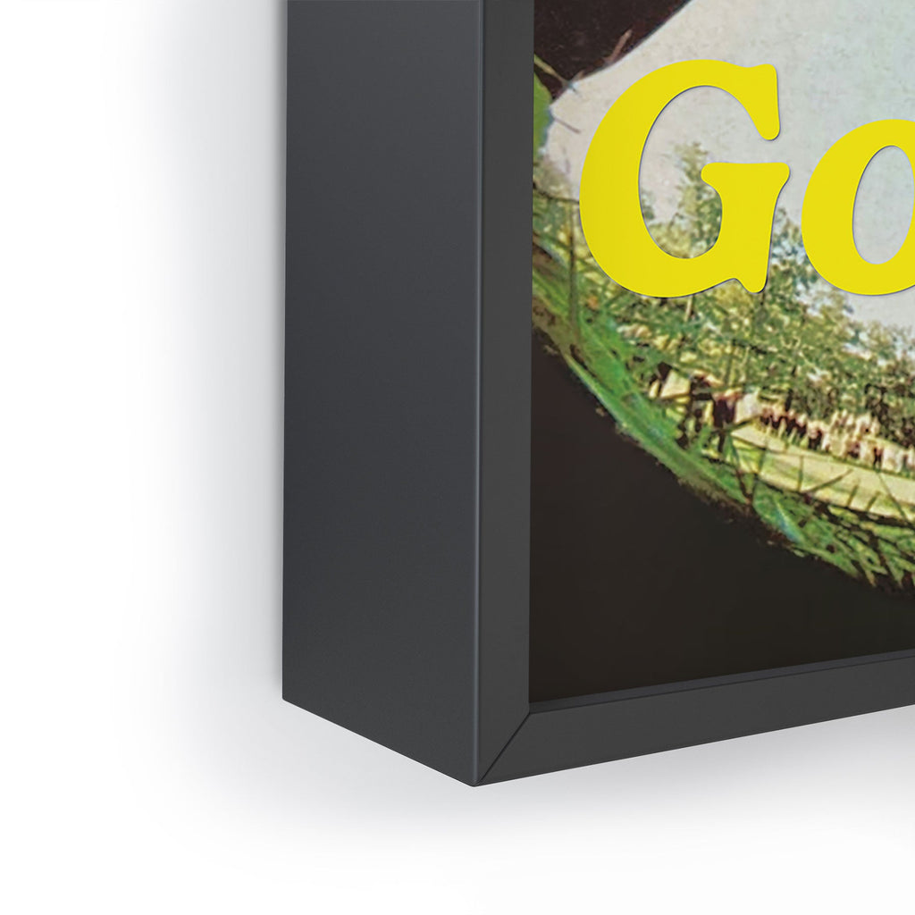 DENY Designs GolfFisheye Framed Mini Art Print