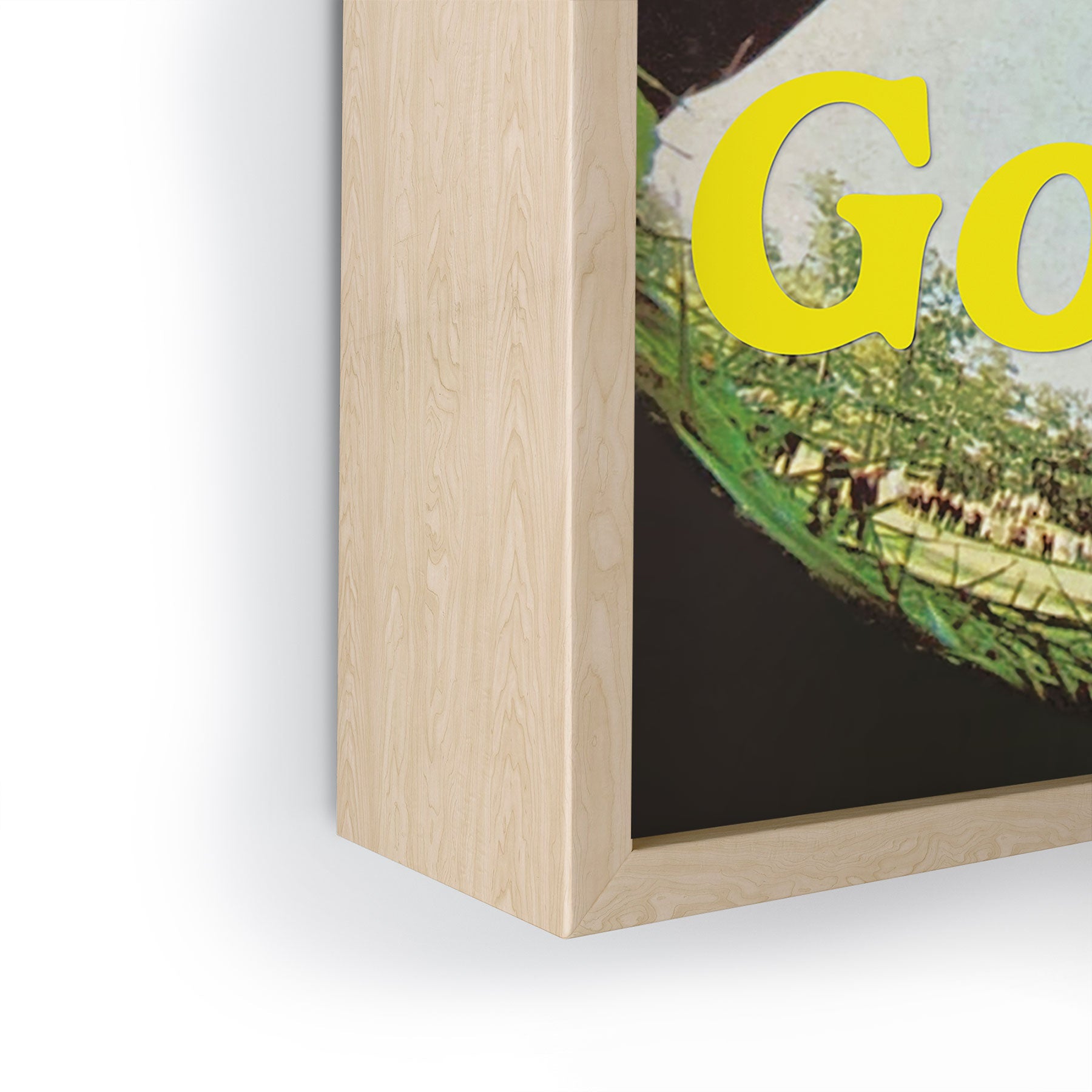 DENY Designs GolfFisheye Framed Mini Art Print