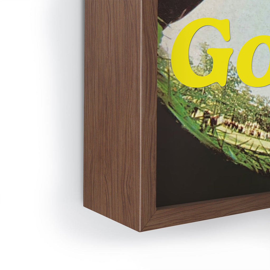 DENY Designs GolfFisheye Framed Mini Art Print