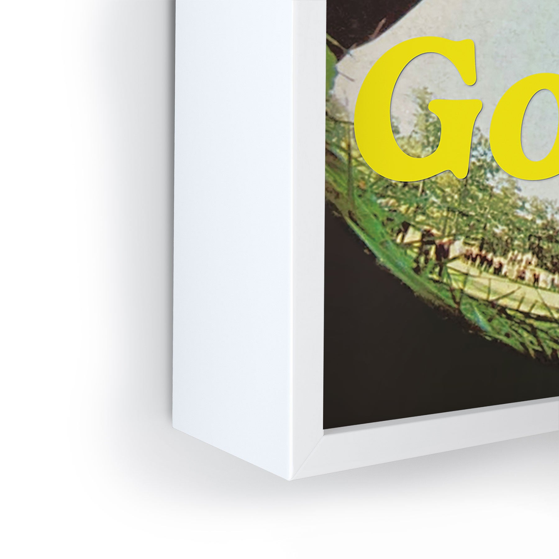DENY Designs GolfFisheye Framed Mini Art Print
