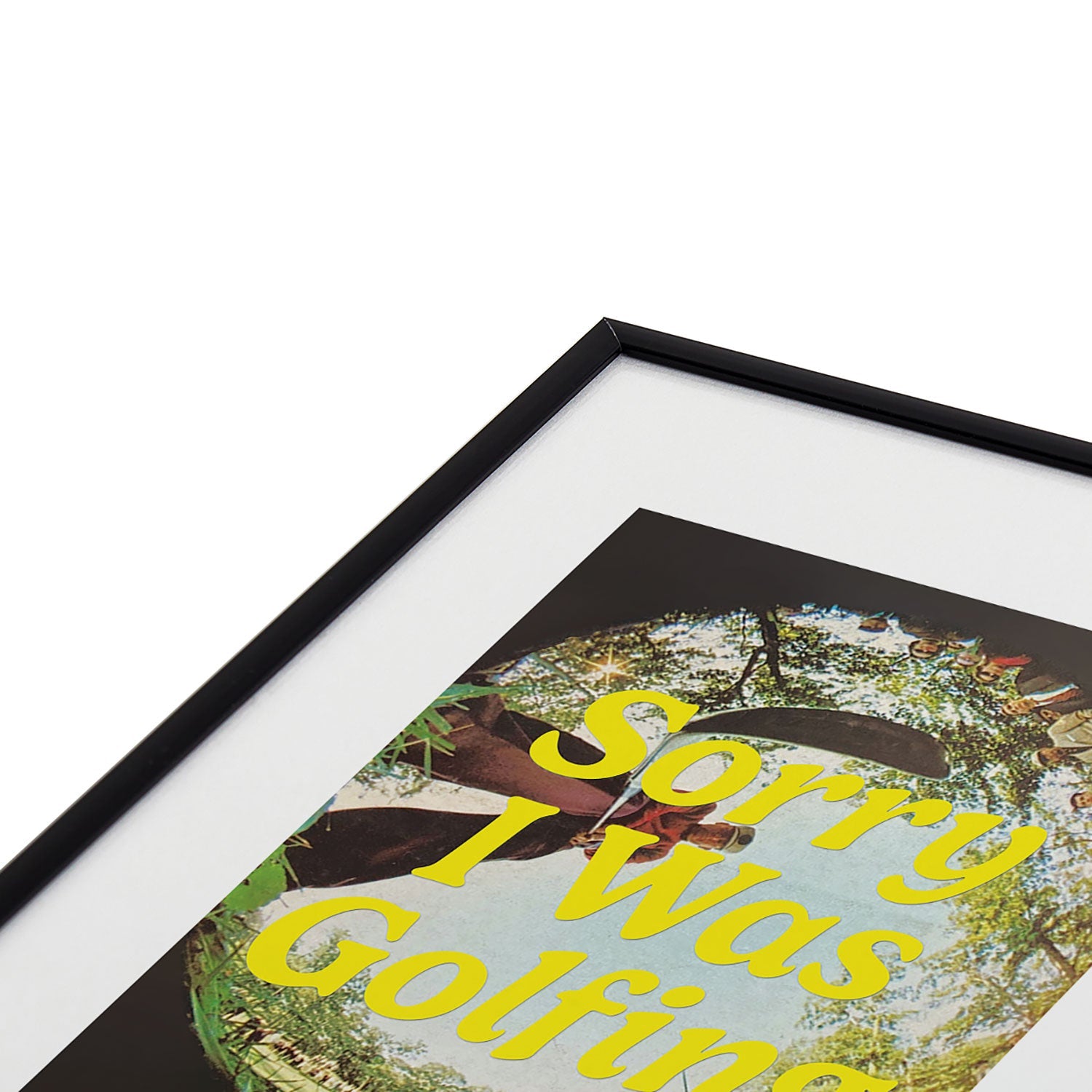 DENY Designs GolfFisheye Metal Framed Art Print